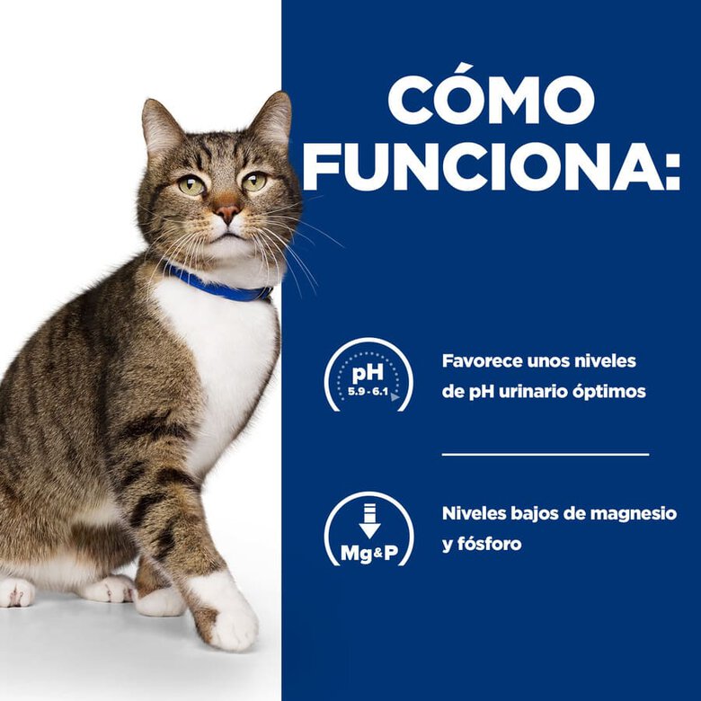 Hill's Prescription Urinary Care Frango ração para gatos, , large image number null